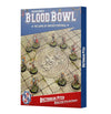 Blood Bowl: Bretonnian Team Pitch & Dugouts (presale)