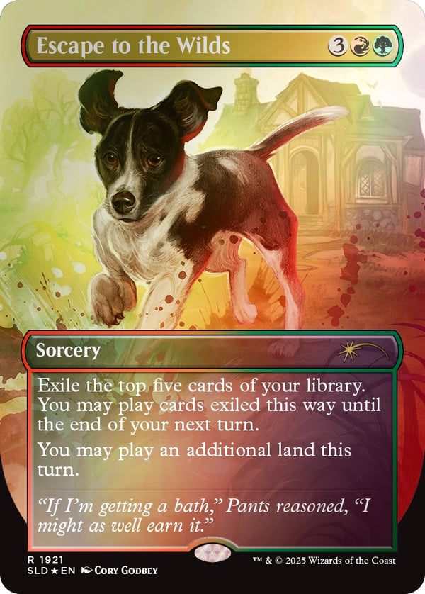 MtG: Dogs Are Better Than Cats - Rainbow Foil Edition (Secret Lair)
