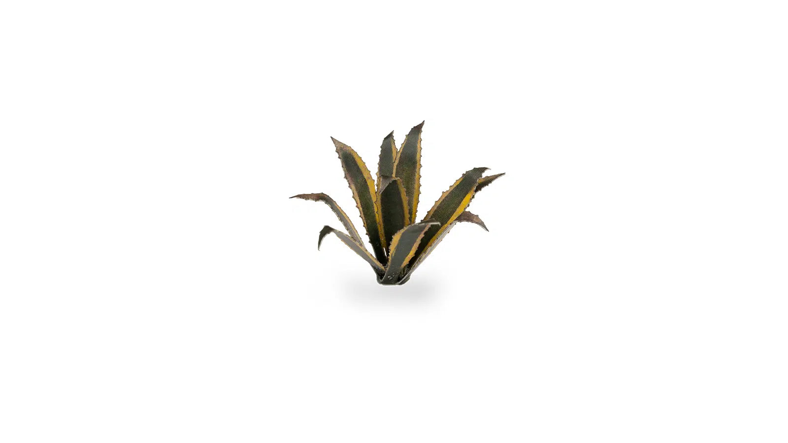 Gamers Grass: Laser Plants - Agave