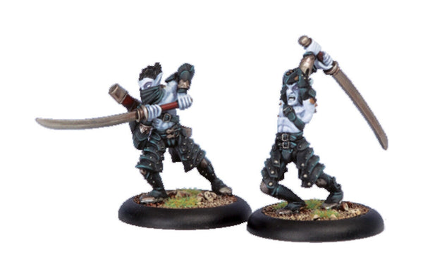 Hordes: Legion of Everblight - Blighted Swordsmen (2)