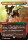 MtG: Dogs Are Better Than Cats - Non-Foil Edition (Secret Lair)