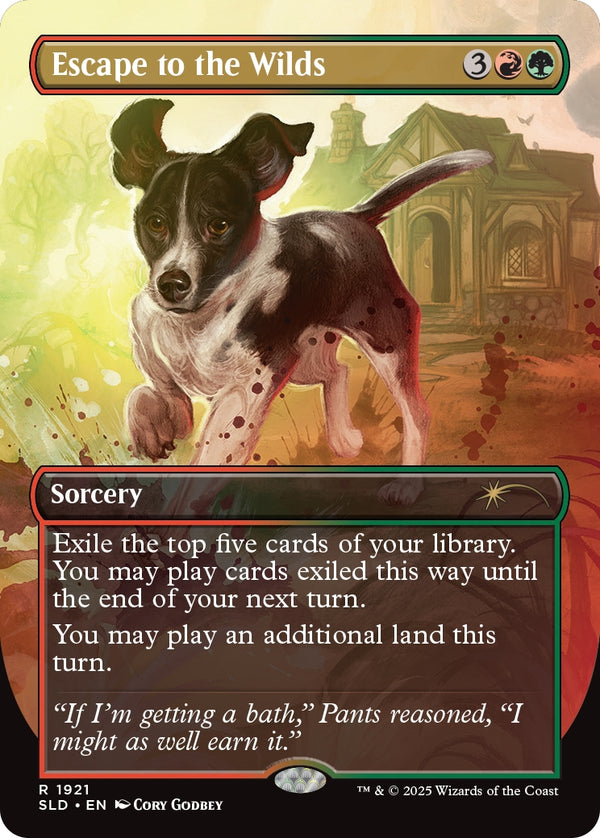 MtG: Dogs Are Better Than Cats - Non-Foil Edition (Secret Lair)
